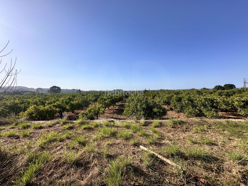 Foto 2483e534-2ede-4a99-b5eb-9998ce0d3a72. Finca rústica a Pego