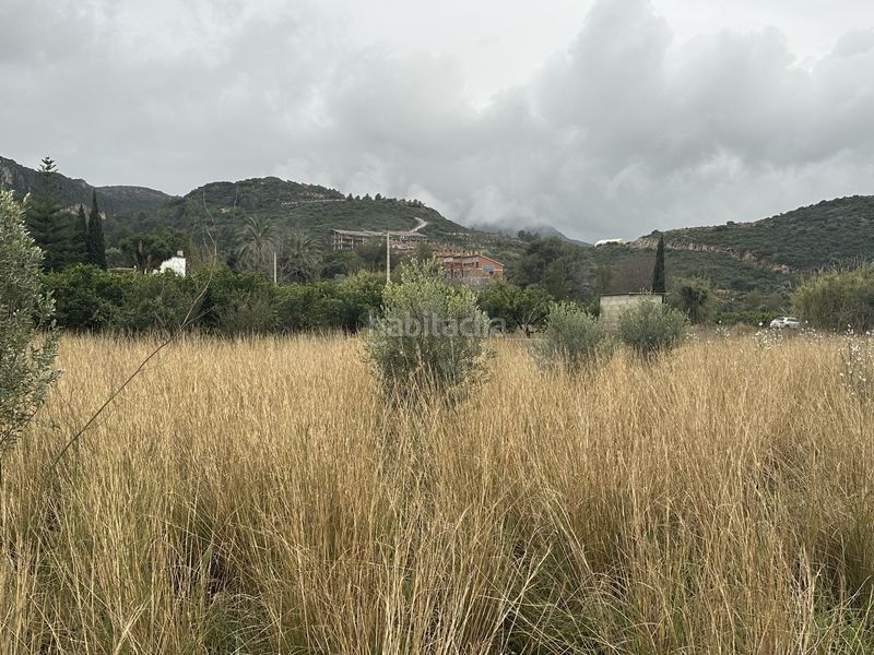 Foto 7d67f230-8a89-4f07-9227-61fbb75e05fb. Finca rústica a Pego