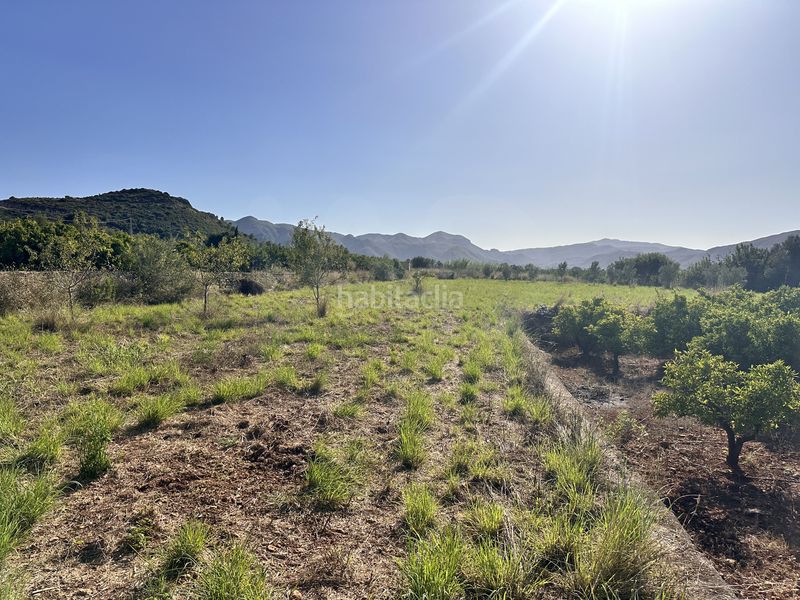 Foto 8f1c869b-21e2-4ea5-a568-e5bdbde0cbd1. Finca rústica a Pego