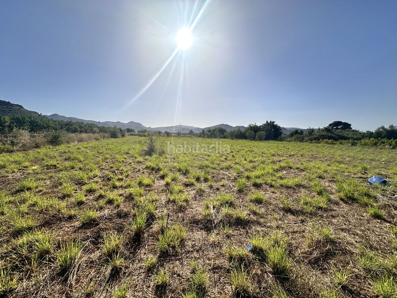 Foto a049cf71-10fe-405a-9fbc-baa5d2776c74. Finca rústica a Pego