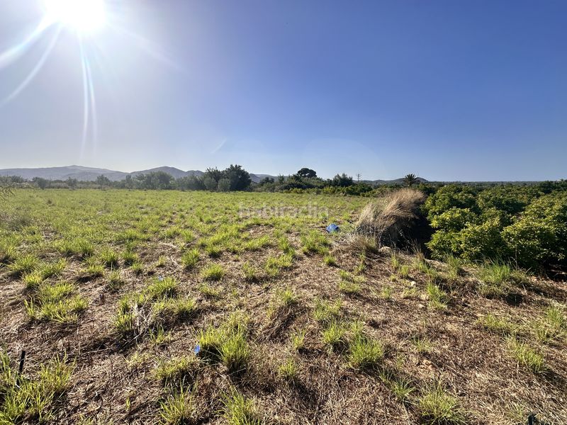 Foto c53ac6e2-8c38-4e99-acfd-cdd56915313a. Finca rústica a Pego