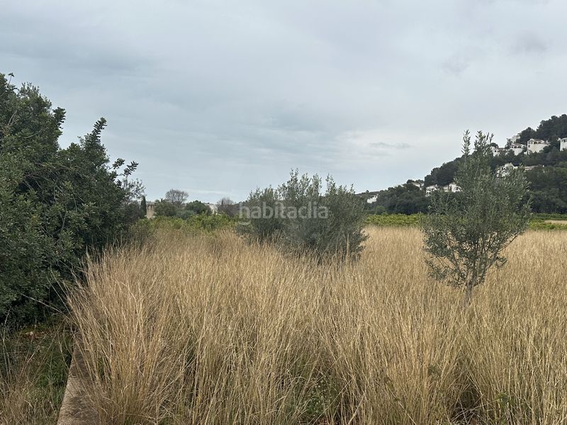 Foto c6c778f2-b74b-485c-b5ce-a58397918c86. Finca rústica a Pego