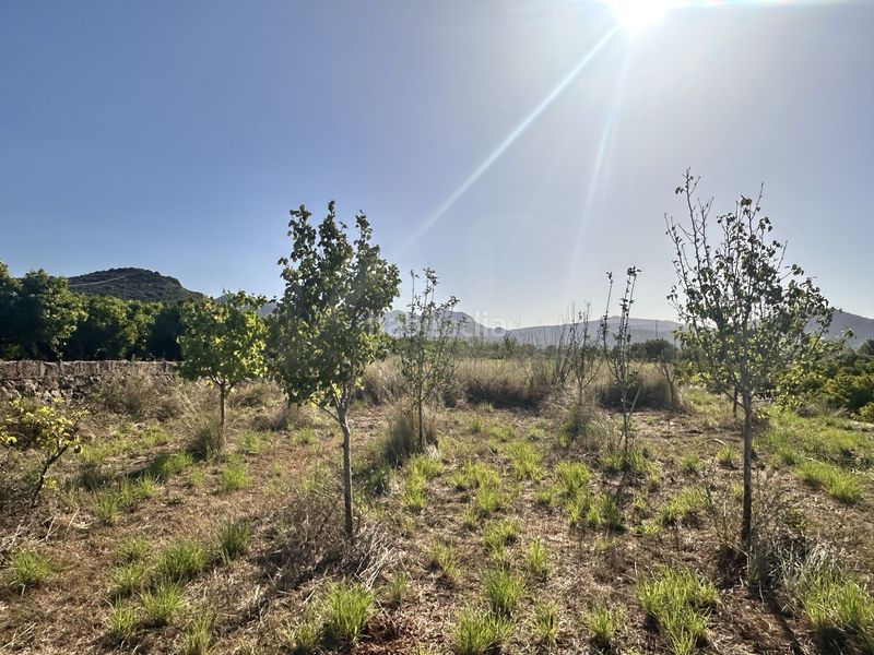 Foto e77a3431-1886-45e5-9bc4-6b0444a32673. Finca rústica a Pego