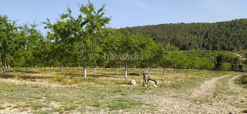 Foto a7f675ff-839f-4b59-bf6e-d1ff7450c69e. Finca rústica en cañada del andaluz en Romana (la)