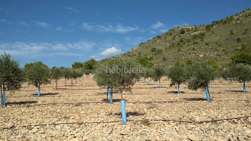 Foto e6dcb8e1-dafe-480a-b33b-10e1d4db9af3. Finca rústica en cañada del andaluz en Romana (la)