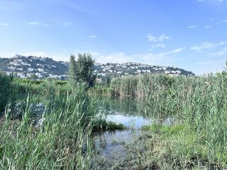 Rural plot in Pego