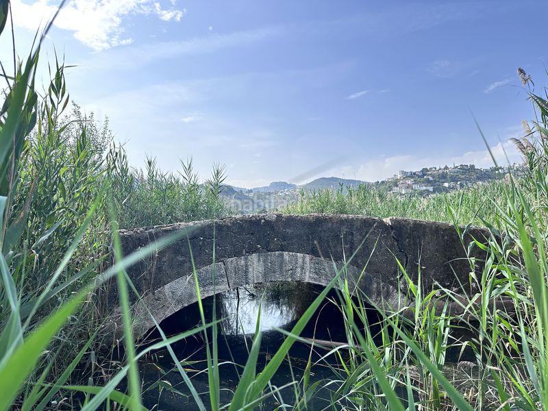 Foto 42a6def3-ee5d-4b31-b819-25aebd638579. Finca rústica a Pego