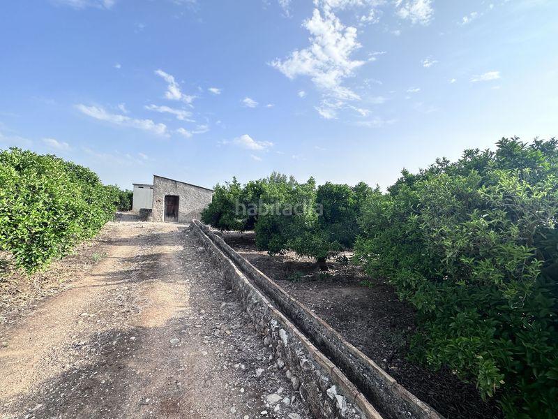 Foto 79a65ea9-6684-4df6-bf7c-e75f26ac92e6. Finca rústica a Pego