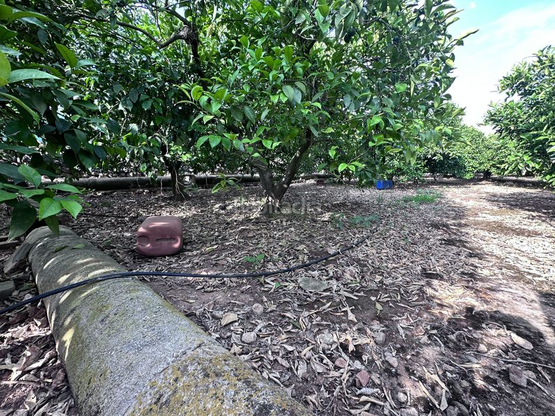 Foto 9227d122-6ab4-4b85-8c7a-72a2168c4314. Finca rústica a Pego