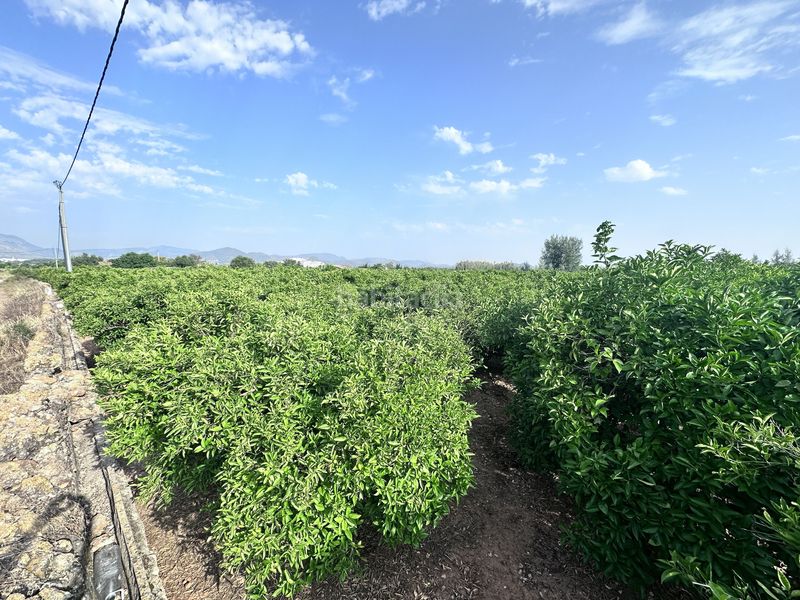 Foto 98f59d6f-26aa-47ac-a8e3-ee8e89611794. Finca rústica a Pego