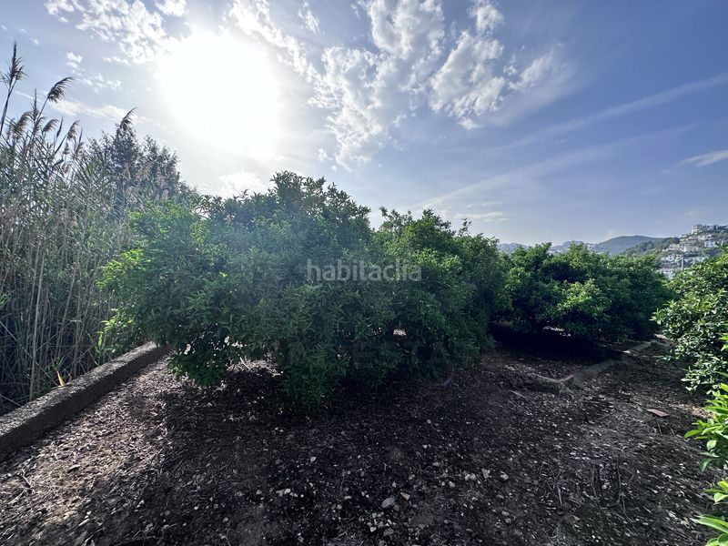 Foto 9e6223d9-38b6-4d83-b8e9-406f730b1e7e. Finca rústica a Pego