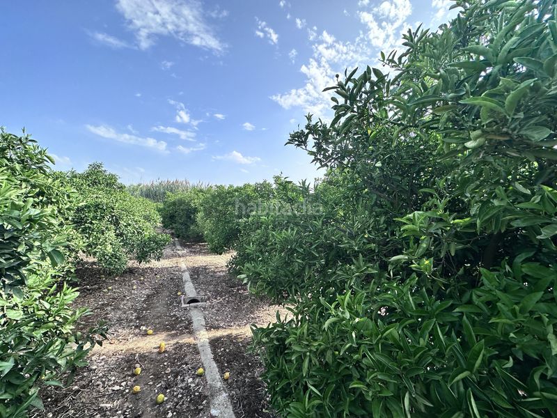 Foto ca308505-dcea-44c2-a6fe-6352a543f994. Finca rústica a Pego
