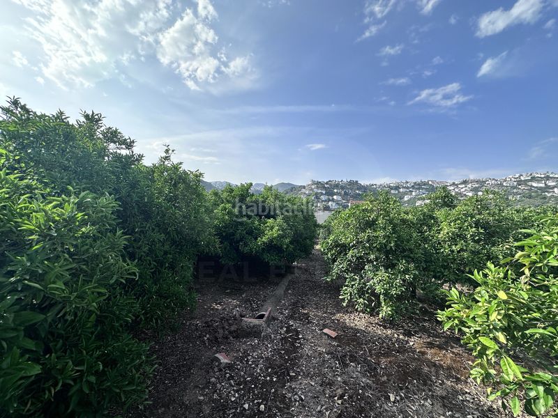 Foto d847bd08-7aba-4fd4-8d74-a176d1b30fe7. Finca rústica a Pego