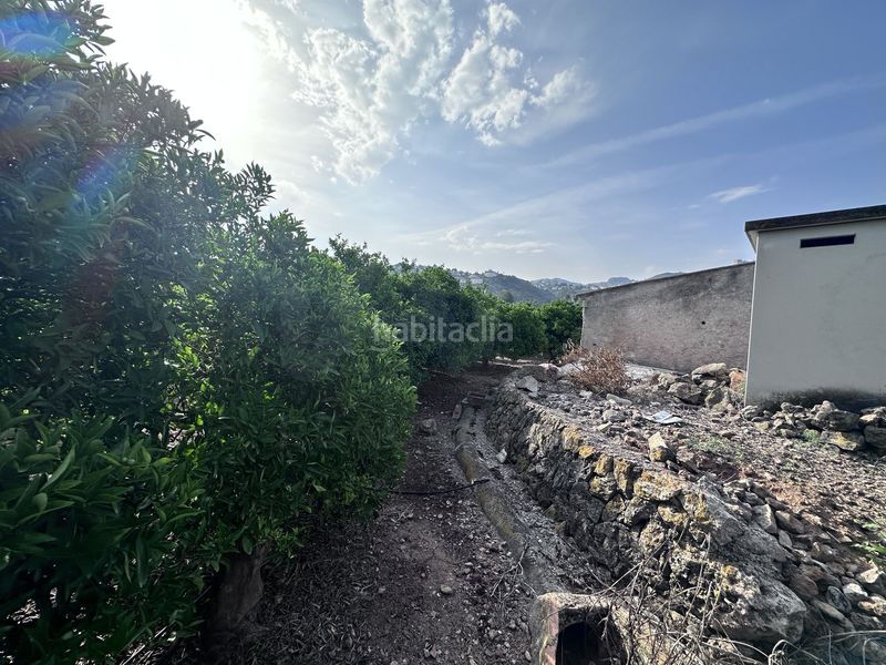Foto e08ea7a5-bcd9-4fa9-bb19-339dc224166a. Finca rústica a Pego