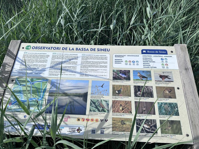 Foto e561a876-cb9a-44f5-806d-4690c94be9a0. Finca rústica a Pego