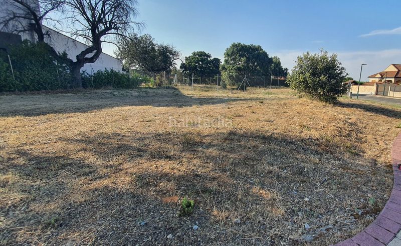 Foto 6766b2b9-520d-4986-8b18-6124dfa14a8b. Terreny residencial a Carrascal de Barregas