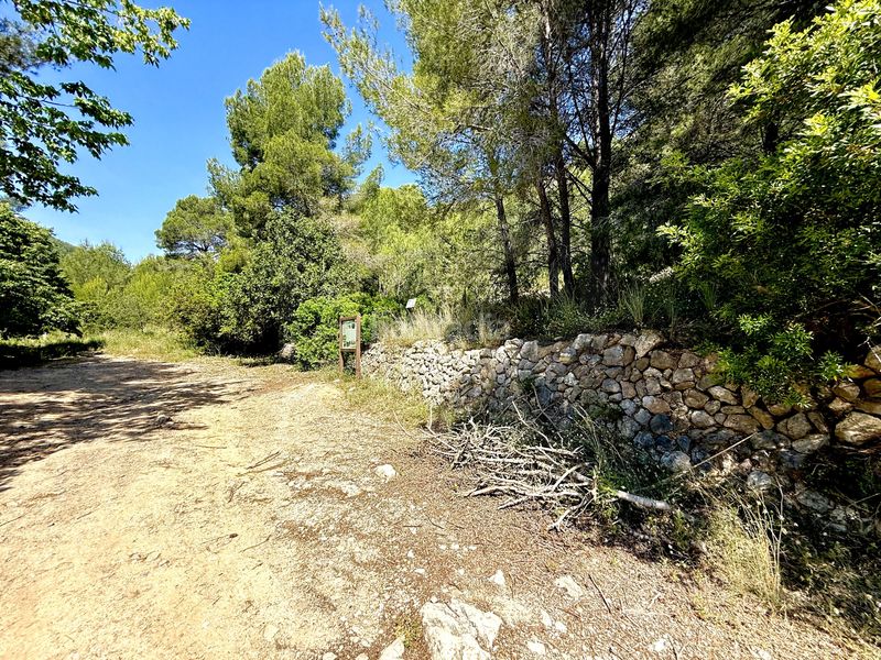Foto 32ea5382-f066-45ef-a970-c9f2f8bbccfa. Finca rústica a camí de la font d'aixa 2 a Llíber