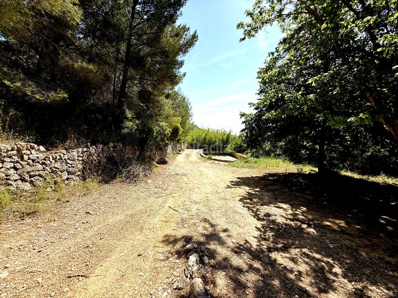 Foto 40afe48b-9fb9-4228-823a-7d4a7552a824. Finca rústica a camí de la font d'aixa 2 a Llíber