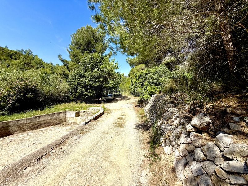 Foto 8053560c-32e8-48df-b5d5-051fb3bb6170. Finca rústica a camí de la font d'aixa 2 a Llíber