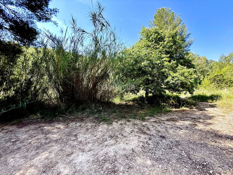 Foto f61f2c41-ef9a-421e-a0ed-1094baa1c23a. Finca rústica a camí de la font d'aixa 2 a Llíber