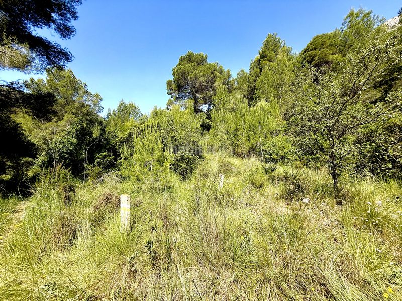 Foto 040b4f3b-5148-4068-b91c-2c2d07dee77e. Finca rústica en camí de la font d'aixa 2 en Llíber
