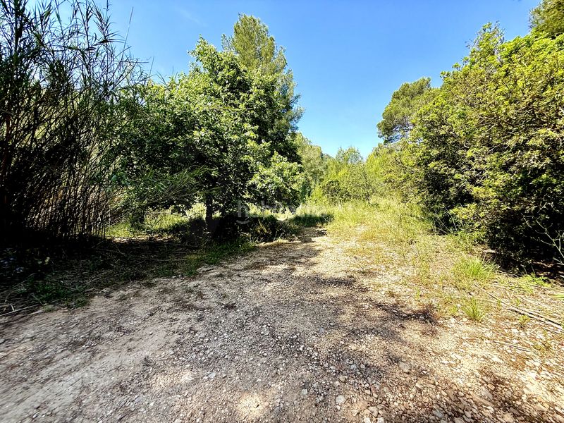 Foto 4ea4c0f9-229d-4d0a-bf9b-f5f97d0496af. Finca rústica en camí de la font d'aixa 2 en Llíber