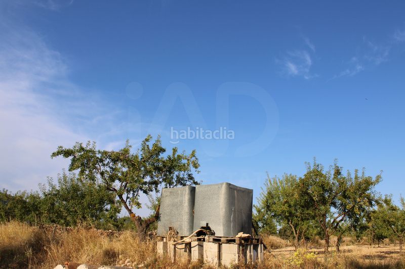 Foto 8de29c04-c3c3-4a7f-afc6-223d1e922626. Casa amb aparcament a Onil