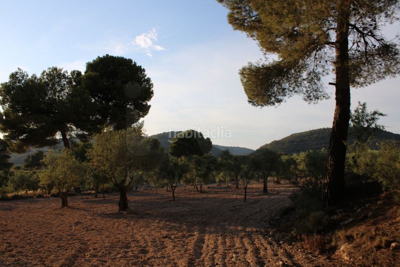 Foto b3a49234-5374-46e7-ac76-f7d771400d68. Casa amb aparcament a Onil