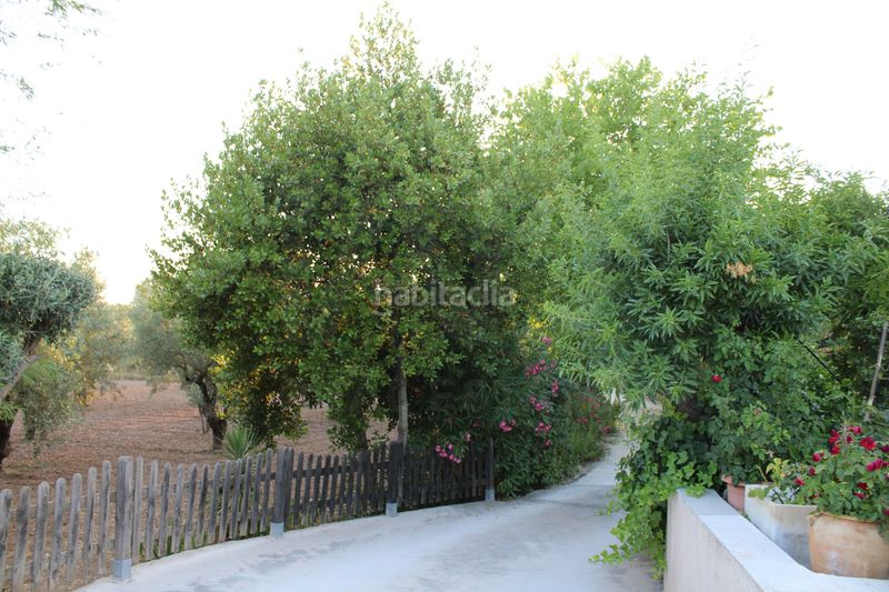 Foto ba7b5189-cb80-476f-b77f-14fe63ed1c94. Casa amb aparcament a Onil
