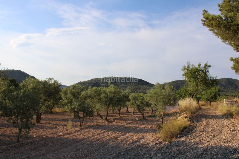 Foto e649a469-4329-472f-ac3b-5515b967624a. Casa amb aparcament a Onil