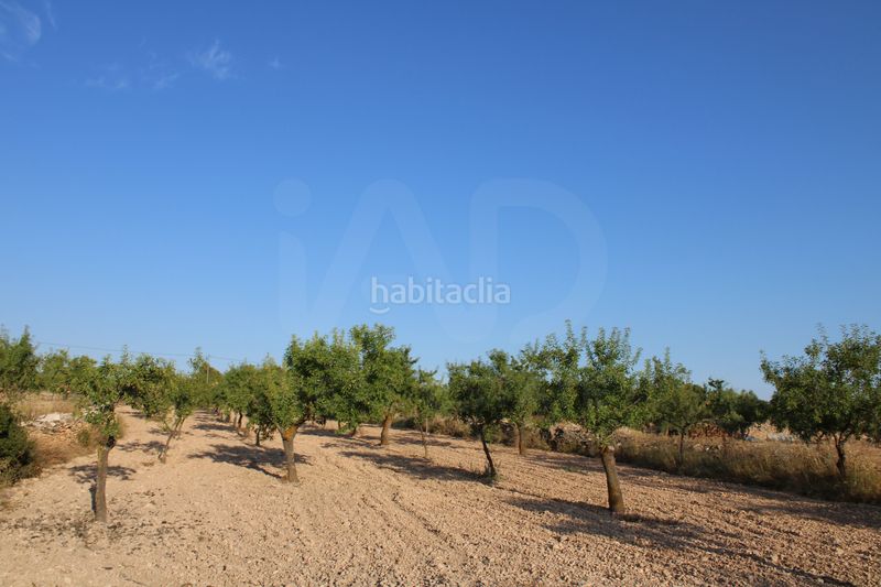 Foto f853cb82-bfc7-418b-8e91-d24c424da2cf. Casa amb aparcament a Onil