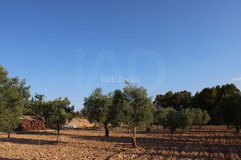 Foto ffd986e8-fe66-4a5a-b3e1-d48abf4c0022. Casa amb aparcament a Onil