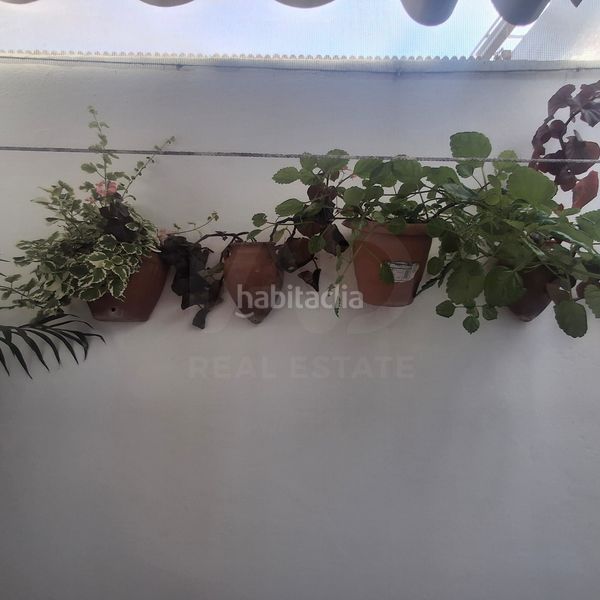 Foto c79f01ef-24f4-4c0e-a7f9-eb6cb052618b. Piso en Medina Sidonia