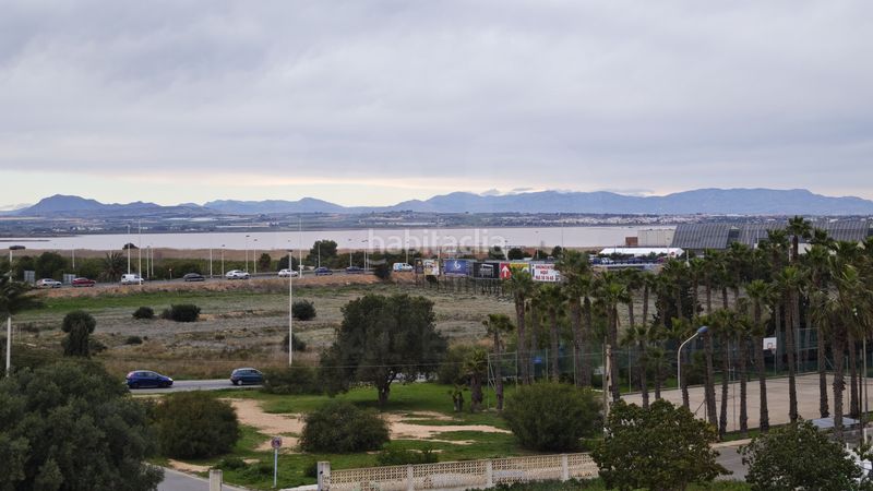 Foto cc33f9b4-a399-4543-a688-ef92d397ead4. Pis a La Veleta Torrevieja