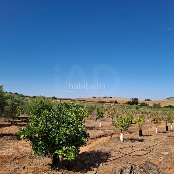 Foto 51fc7381-30d0-4767-816b-496946736acd. Finca rústica en Bornos