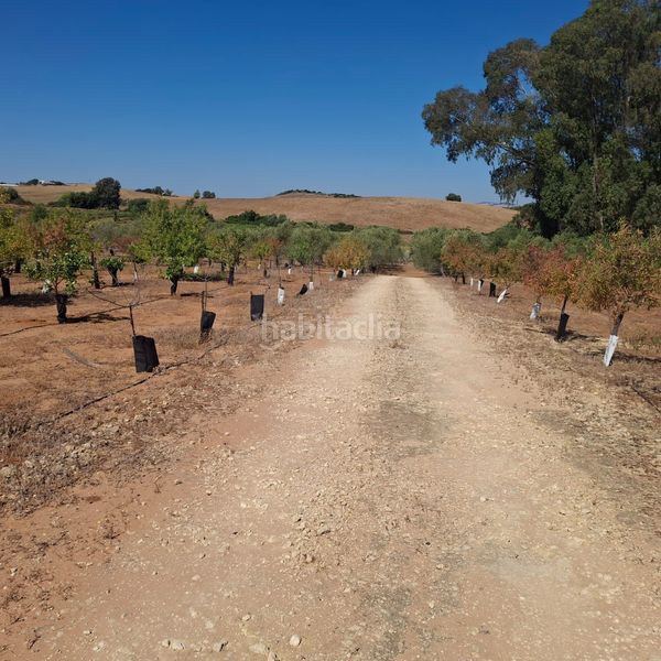 Foto 8a54ffe0-1657-43e9-853a-b90b61e60fe3. Finca rústica en Bornos