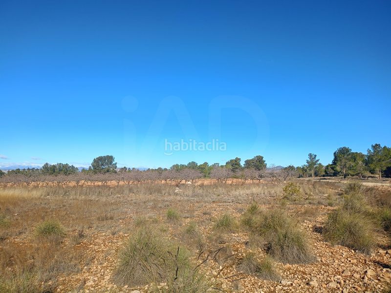 Foto 11ab137f-57d0-4fb7-a2b8-9a02dfafcd97. Finca rústica a Avilés Lorca