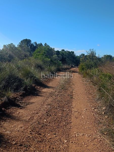 Foto 2ed21696-5880-44bc-bd29-6eb87663a4ce. Finca rústica a Avilés Lorca