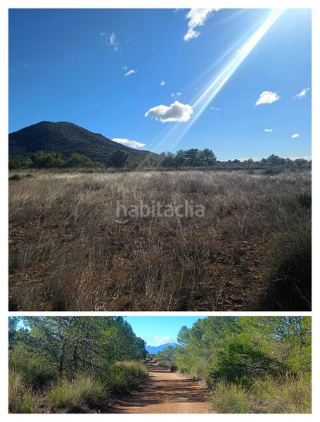 Foto 8ad7210a-1b31-4e65-b95f-ff2340f85b17. Finca rústica a Avilés Lorca