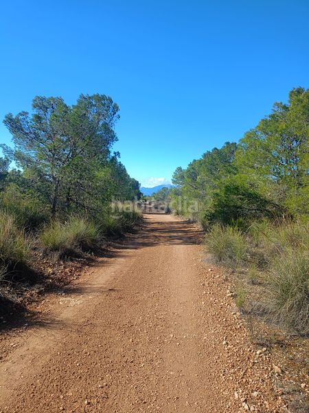 Foto a7833bf3-a792-4b67-8f96-ac51240e10c0. Finca rústica a Avilés Lorca