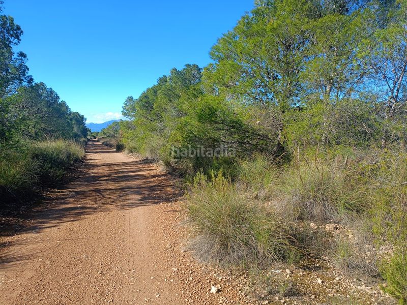 Foto aa7f1bf7-9d2a-4147-8872-2566c7a05a1e. Finca rústica a Avilés Lorca