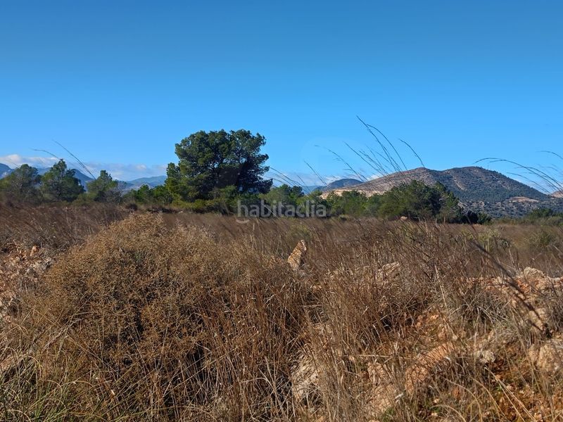 Foto b81345eb-8727-457a-ace8-e96296c7c3d0. Finca rústica a Avilés Lorca