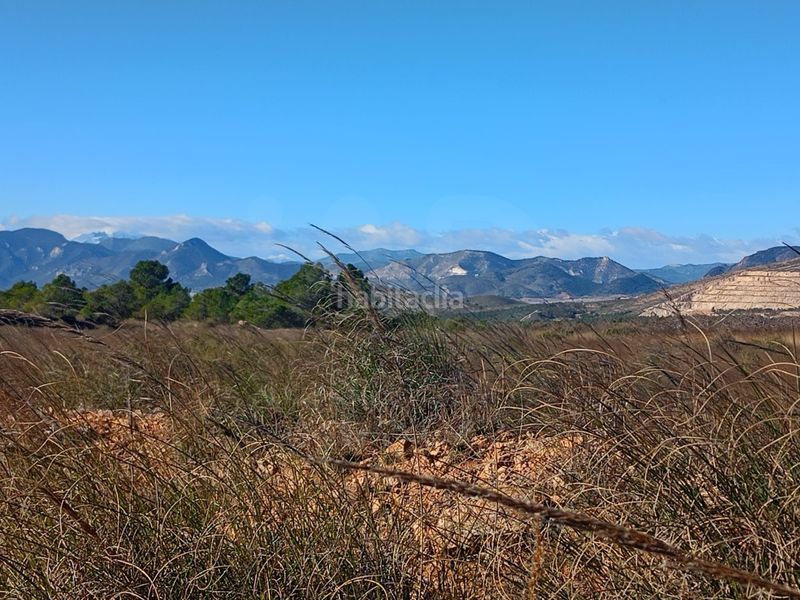Foto bd7f65e4-c39f-405a-aff2-9c44b7e65988. Finca rústica a Avilés Lorca