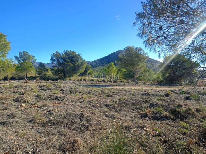 Foto c5a15134-0f08-437f-b120-4406711b1694. Finca rústica a Avilés Lorca