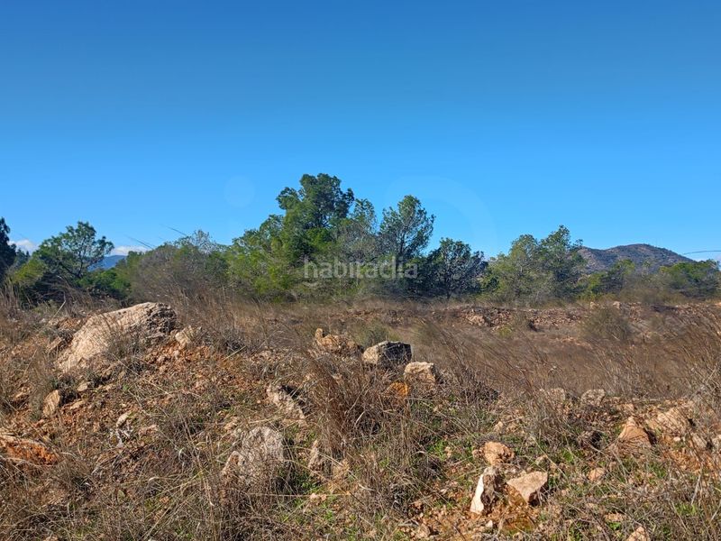 Foto c6a55bda-e094-4b01-914e-974fc3a37c66. Finca rústica a Avilés Lorca