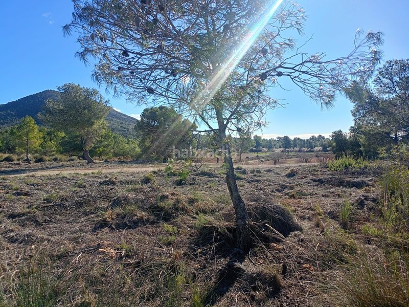 Foto ccb9b67e-66d0-4fb8-839f-4caa095b0254. Finca rústica a Avilés Lorca