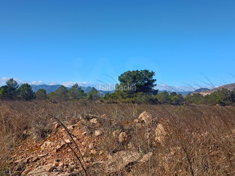 Foto d17e09bb-f9d2-4aba-b05d-f4e54549e545. Finca rústica a Avilés Lorca