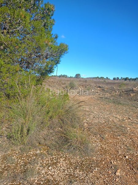 Foto dc09d5e7-faa2-4472-a67a-7a58b1a962a9. Finca rústica a Avilés Lorca