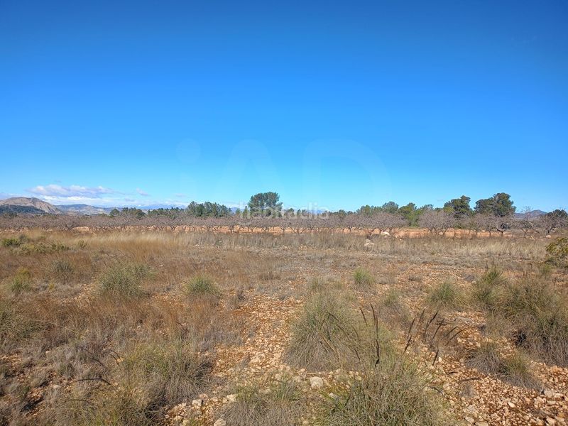Foto e13f2ded-aca4-48bc-ad5e-46310bb1d394. Finca rústica a Avilés Lorca