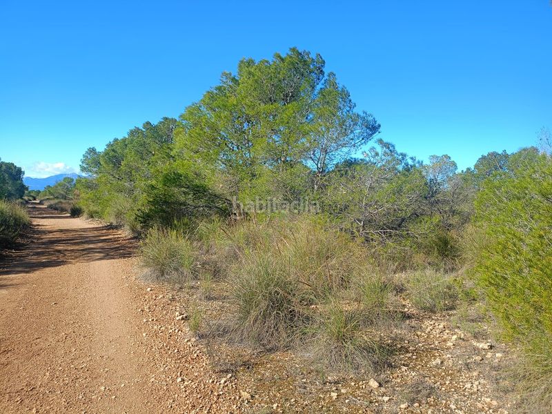Foto e268d8da-93bd-4c9d-ba71-594a649e1612. Finca rústica a Avilés Lorca